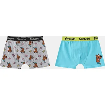 Character Boxer Briefs for Boys Scooby Doo 3-4 roky