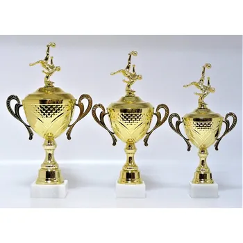 Nohejbal poháry X31-F230 Zde napište text na štítky a součet zadejte do košíku. Více informací viz.POPIS v dolní části.