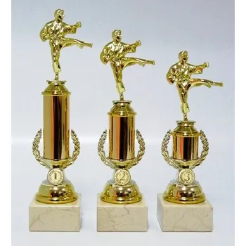 Karate trofeje MUŽ 25-F10 DO KOŠÍKU ZADEJTE SOUČET ŠTÍTKŮ !!! - Více informací viz. POPIS v dolní části.