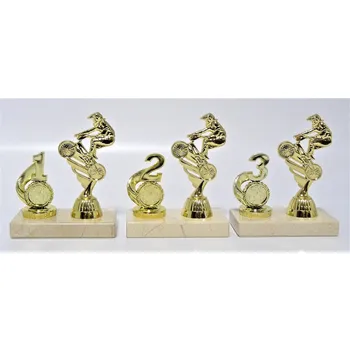 Cyklo trofeje 100-P438.01 Zde napište text na štítky a součet zadejte do košíku. Více informací viz.POPIS v dolní části.