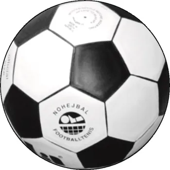 VIZINGR Nohejbal MAXI logo L2č.224