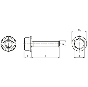 Šroub šroub s přírubou ocel 8.8 ZB ozubený M5 12 mm