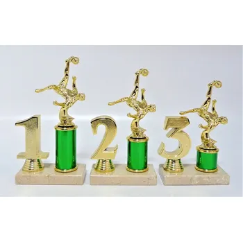 Nohejbal trofeje 73-F230 Zde napište text na štítky a součet zadejte do košíku. Více informací viz.POPIS v dolní části.