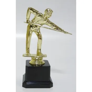 Kulečník F243-58 Zde napište text na štítek a zadejte do košíku. Více informací viz. POPIS v dolní části.