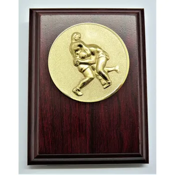 Zápas Zápas plaketa H120-A75 Zde napište text na štítek a zadejte do košíku. Více informací viz.POPIS v dolní části.