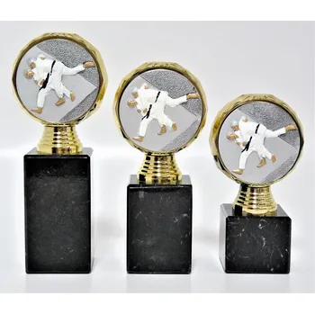 Judo trofeje K13-FG004 Zde napište text na štítky a součet zadejte do košíku. Více informací viz.POPIS v dolní části.