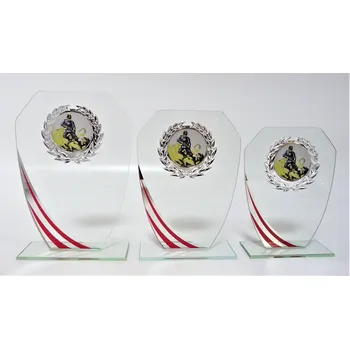 Hasič sklo S2-L229 Zde napište text na štítky a zadejte do košíku. Více informací POPIS v dolní části.