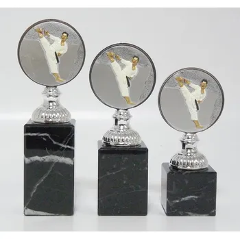 Karate trofeje 50-FG005 Zde napište text na štítky a součet zadejte do košíku. Více informací viz.POPIS v dolní části.