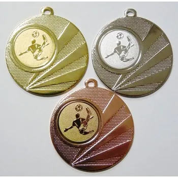 Nohejbal medaile D112H-183 DO KOŠÍKU ZADEJTE SOUČET ŠTÍTKŮ !!! - Více informací viz. POPIS v dolní části.