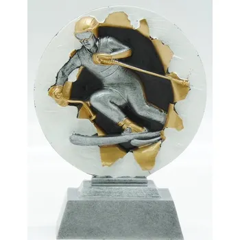 Lyže sjezd trofej FG1093 DO KOŠÍKU ZADEJTE SOUČET ŠTÍTKŮ !!! - Více informací viz. POPIS v dolní části.