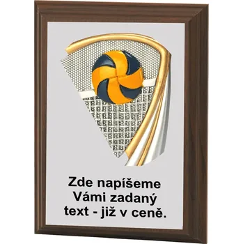 VIZINGR Volejbal plaketa H120-L423
