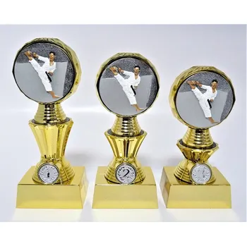 Karate trofeje K16-FG005 Zde napište text na štítky a součet zadejte do košíku. Více informací viz.POPIS v dolní části.