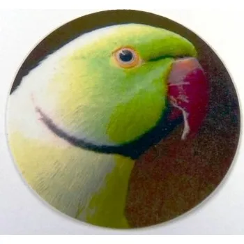 VIZINGR Alexandr malý MINI logo