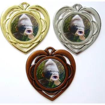 VIZINGR Ryba medaile D87-L221