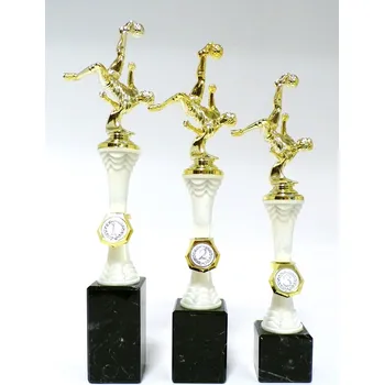 Nohejbal trofeje s pořadím 125-F230 Zde napište text na štítky a součet zadejte do košíku. Více informací viz.POPIS v dolní části.