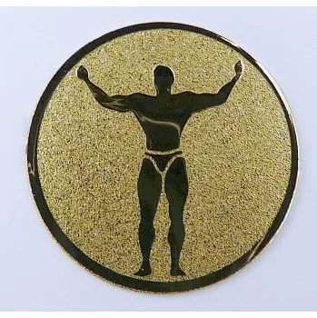 HOLANDSKO Kulturisti MINI emblém A1č.81