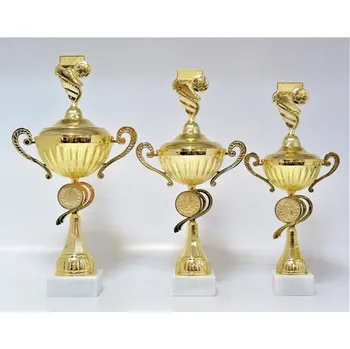 Fotbal poháry X35-P405.01 Zde napište text na štítky a součet zadejte do košíku. Více informací viz.POPIS v dolní části.