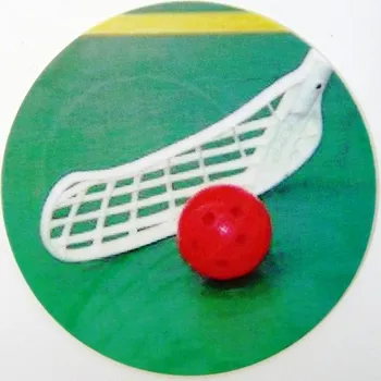 VIZINGR Florbal MINI logo L1č.125