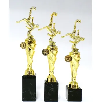 Nohejbal trofeje s pořadím 120-F230 Zde napište text na štítky a součet zadejte do košíku. Více informací viz.POPIS v dolní části.