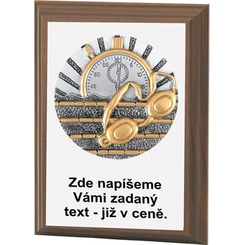 VIZINGR Plavání plaketa H120-K053