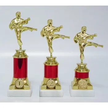 Karate trofeje MUŽ 30-F10 DO KOŠÍKU ZADEJTE SOUČET ŠTÍTKŮ !!! - Více informací viz. POPIS v dolní části.