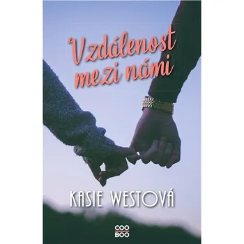 Kniha Vzdálenost mezi námi Ekniha