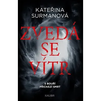 Kniha Zvedá se vítr Ekniha