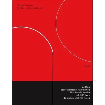 Kniha Stýkání, nebo potýkání? Ekniha