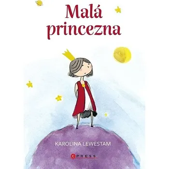 Kniha Malá princezna Ekniha