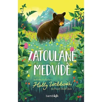 Kniha Zatoulané medvídě Ekniha