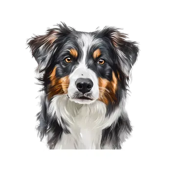 samolepka UV samolepka se psem Border kolie hlava 5x5 (UV samolepka s plemeny psů , plemena )