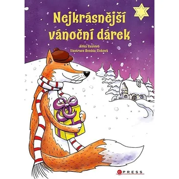 Kniha Nejkrásnější vánoční dárek Ekniha
