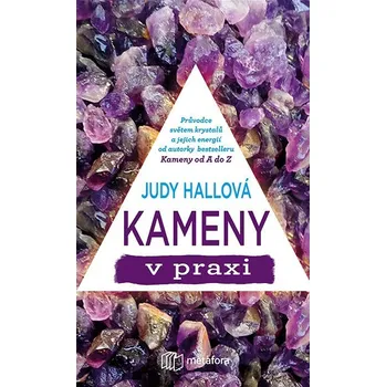 Kniha Kameny v praxi Ekniha