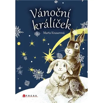 Kniha Vánoční králíček Ekniha