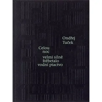Kniha Celou noc velmi silně štěbetalo vodní ptactvo Ekniha