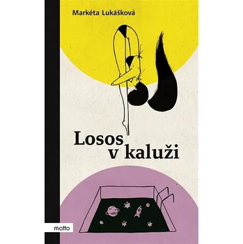 Kniha Losos v kaluži Ekniha