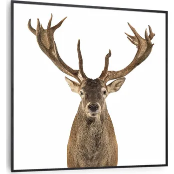 Infrazářič Klarstein Wonderwall Air Art Smart infračervený ohřívač (10037831)