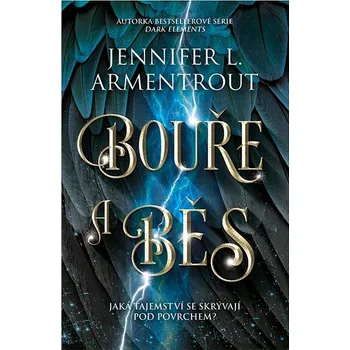 Kniha Bouře a běs Ekniha