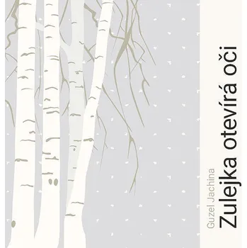 Zulejka otevírá oči Audiokniha