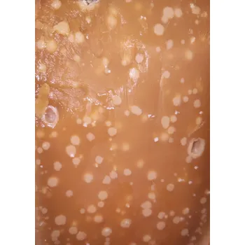 Eisenga "No.8" brokkel Noord Holland Váha: 200g