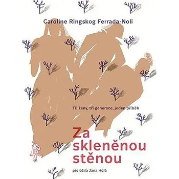 Kniha Za skleněnou stěnou Ekniha