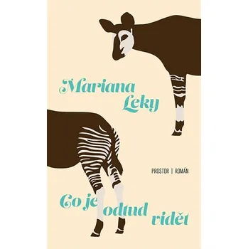 Kniha Co je odtud vidět Ekniha