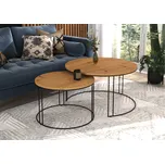 ADRK Konferenční stolek ETTA B-A 75, dub artisan/černá