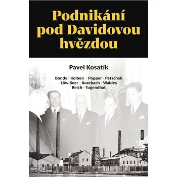 Kniha Podnikání pod Davidovou hvězdou Ekniha