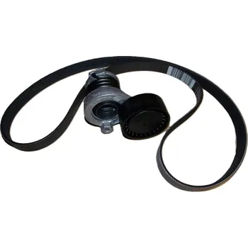 Sada klínového řemene Renault Kangoo 2008-2021 1,5D - 6PK1195, 117206096R