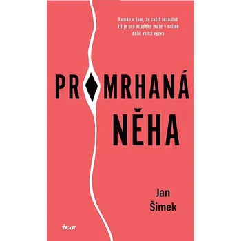 Kniha Promrhaná něha Ekniha