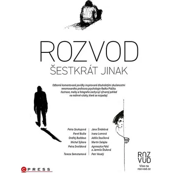 Kniha Rozvod šestkrát jinak Ekniha