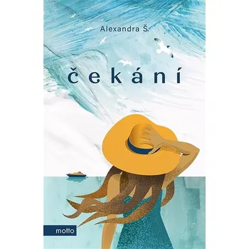 Kniha Čekání Ekniha