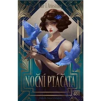 Kniha Noční ptáčata Ekniha