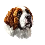 Moon River Bernardýn samolepka se psem 5x5